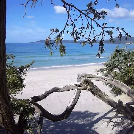 Апартаменты In 36962 *